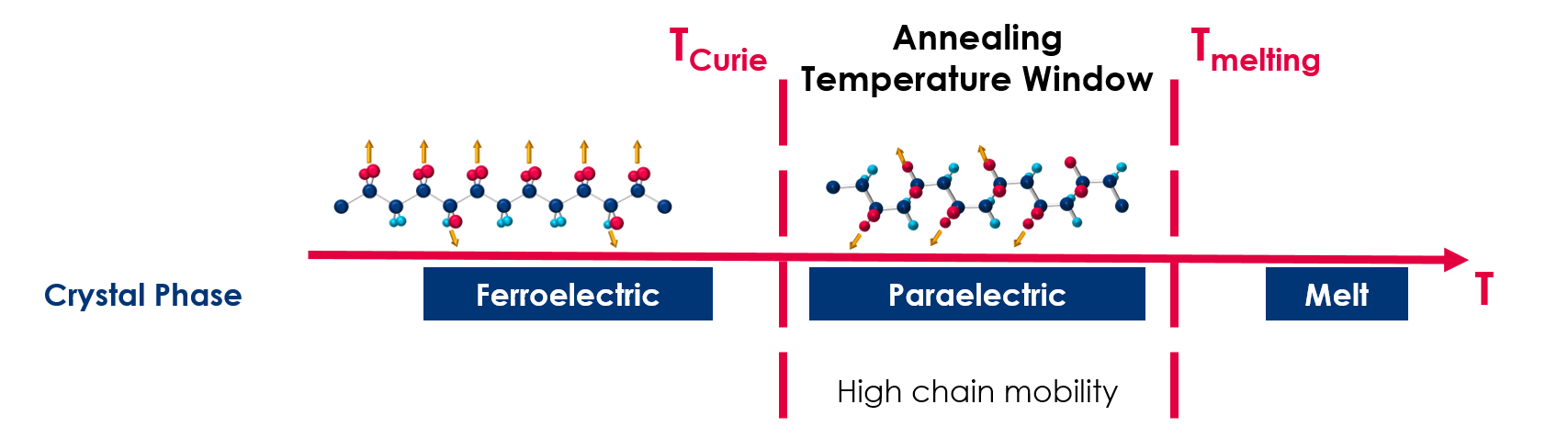 Annealing P(VDF-TrFE) Copolymers.png